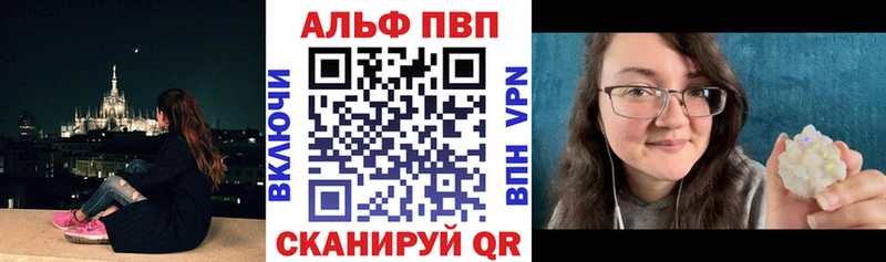 Альфа ПВП СК  Северск 