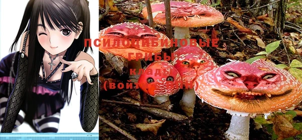 jwh Богданович