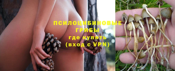 стафф Богородицк
