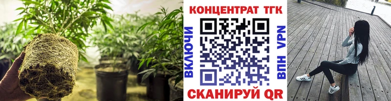 ТГК THC oil  ссылка на мегу как зайти  Северск 