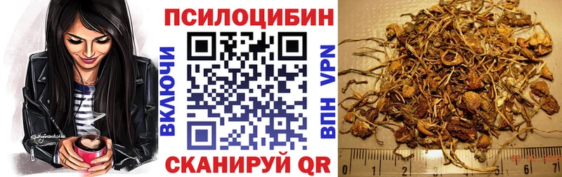 Псилоцибиновые грибы Psilocybe  МЕГА ссылки  Северск 